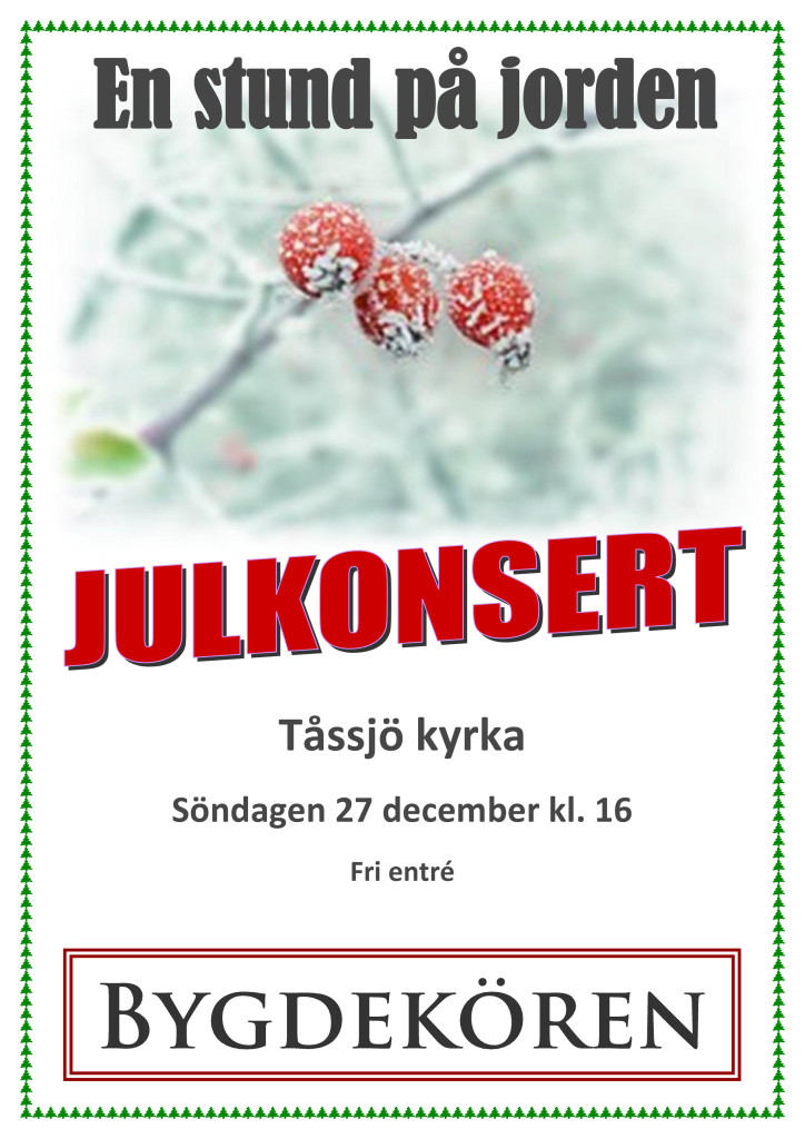 Julkonsert 2015 nr1